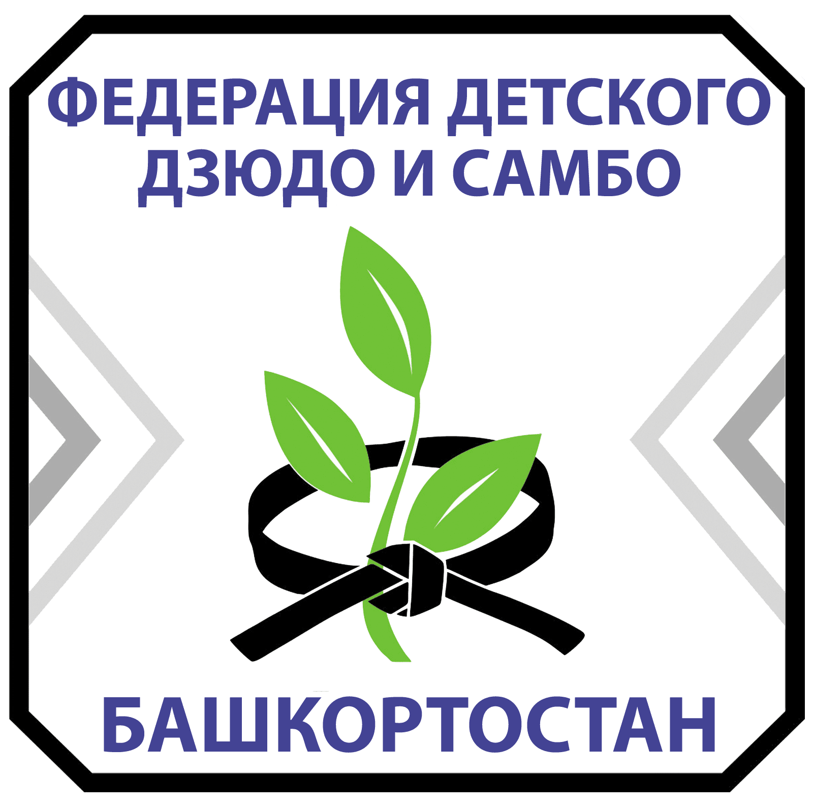 Секция дзюдо по самбо и дзюдо в Уфе