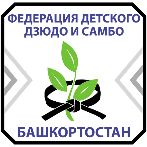 плюсы академии дзюдо и самбо